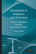 Perceptions in Litigation and Mediation