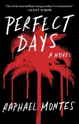 Perfect Days - Montes, Raphael