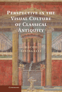 Perspective in the Visual Culture of Classical Antiquity