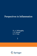 Perspectives in Inflammation: Future Trends and Developments