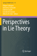 Perspectives in Lie Theory