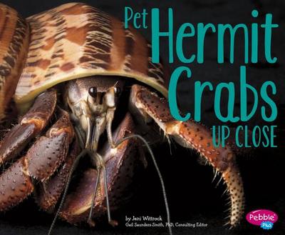 Pet Hermit Crabs Up Close - Saunders-Smith, Gail (Consultant editor), and Wittrock, Jeni