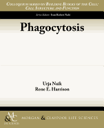 Phagocytosis