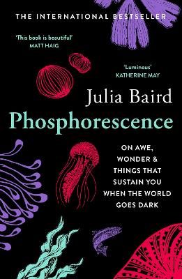 Phosphorescence: On Awe, Wonder & Things That Sustain You When the World Goes Dark - Baird, Julia
