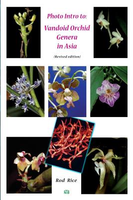 Photo Intro to: Vandoid Orchid Genera in Asia - Rice, Rod