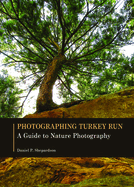 Photographing Turkey Run: A Guide to Nature Photography