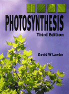 Photosynthesis