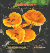 Phrotose: A collection of blended photographs and prose