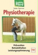 Physiotherapie - Stammer, Stefan