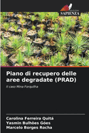 Piano di recupero delle aree degradate (PRAD)