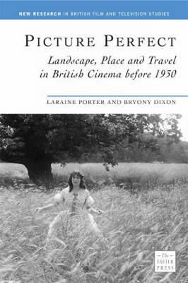 Picture Perfect: Landscape, Place and Travel in British Cinema Before 1930 - Dixon, Byrony (Editor), and Porter, Laraine (Editor)