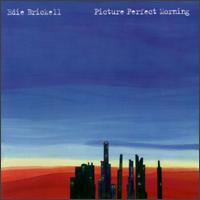 Picture Perfect Morning - Edie Brickell