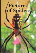 Pictures of Spiders: Funny White Elephant, Secret Dirty Santa Gift, (Stupid Gifts Ideas)