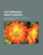 Picturesque Brattleboro: With Over Two Hundred Illustrations