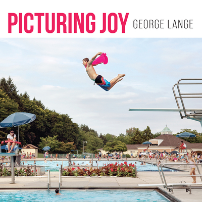 Picturing Joy: Stories of Connection - Lange, George