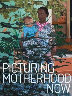 Picturing Motherhood Now - Liebert, Emily, and Rivera Fellah, Nadiah, and Deutsche, Rosalyn (Contributions by)