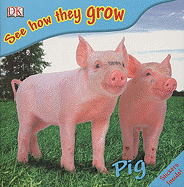 Pig with Sticker