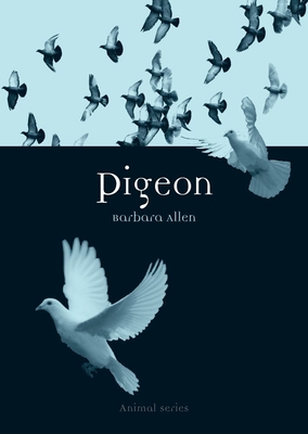 Pigeon - Allen, Barbara