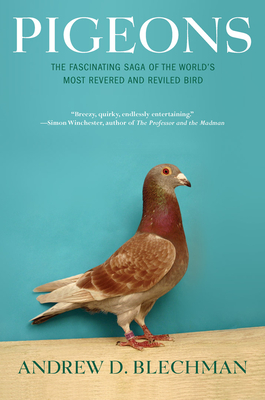 Pigeons: The Fascinating Saga of the World's Most Revered and Reviled Bird - Blechman, Andrew D