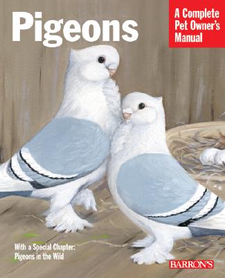 Pigeons - Vriends, Matthew, and Erskine, Tommy