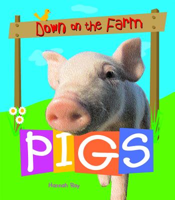 Pigs - Ray, Hannah