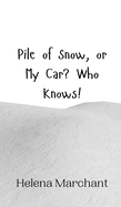 Pile of Snow, or My Car? Who Knows!