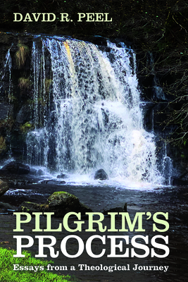 Pilgrim's Process - Peel, David R