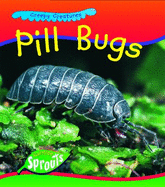 Pill Bugs
