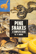 Pine Snakes: A Complete Guide