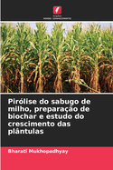 Pir?lise do sabugo de milho, prepara??o de biochar e estudo do crescimento das pl?ntulas