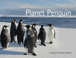 Planet Penguin