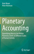 Planetary Accounting: Quantifying How to Live Within Planetary Limits at Different Scales of Human Activity