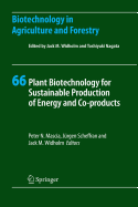 Plant Biotechnology for Sustainable Production of Energy and Co-Products