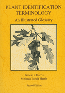 Plant Identification Terminology: An Illustrated Glossary