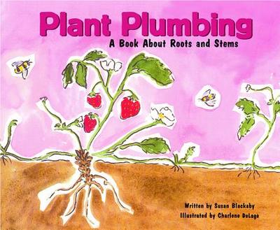 Plant Plumbing: A Book about Roots and Stems - Blackaby, Susan