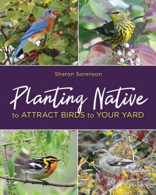 Planting Native to Attract Birds to Your Yard - Sorenson, Sharon