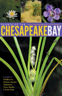 Plants of the Chesapeake Bay: A Guide to Wildflowers, Grasses, Aquatic Vegetation, Trees, Shrubs, & Other Flora