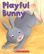 Playful Bunny