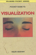 Pocket Guide to Visualization