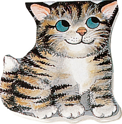 Pocket Kitten - 