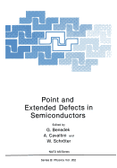 Point and extended defects in semiconductors