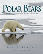 Polar Bears