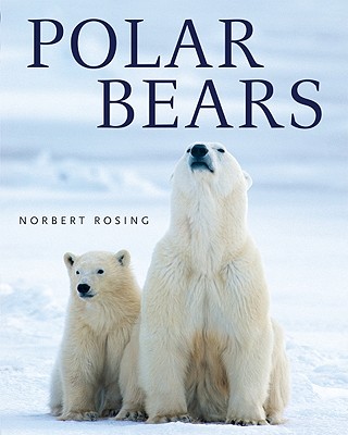 Polar Bears - Rosing, Norbert