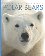 Polar Bears