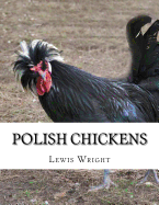 Polish Chickens: From the Book of Poultry