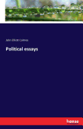 Political essays