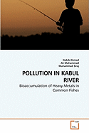 Pollution in Kabul River