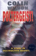 Poltergeist!: A Study in Destructive Haunting