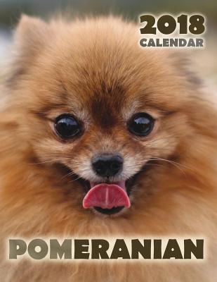 Pomeranian 2018 Calendar - Over the Wall Dogs