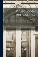 Pomologia Britannica: Or, Figures and Descriptions of the Most Important Varieties of Fruit Cultivated in Great Britain; Volume 1